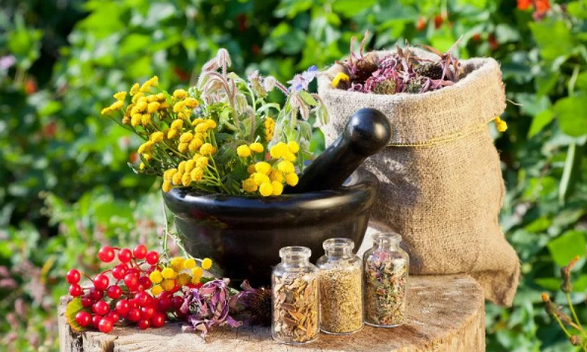 Helmintlerden bitkiler