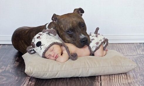 Köpeği olan bir çocuk