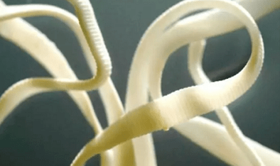 insan vücudundan parazitler nasıl çıkarılır